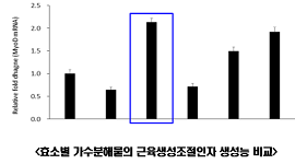 효소별 가수분해물의 근육생성조절인자 생성능 비교