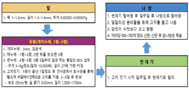 누에의 일생2